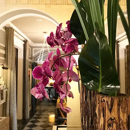 Recamier Parigi